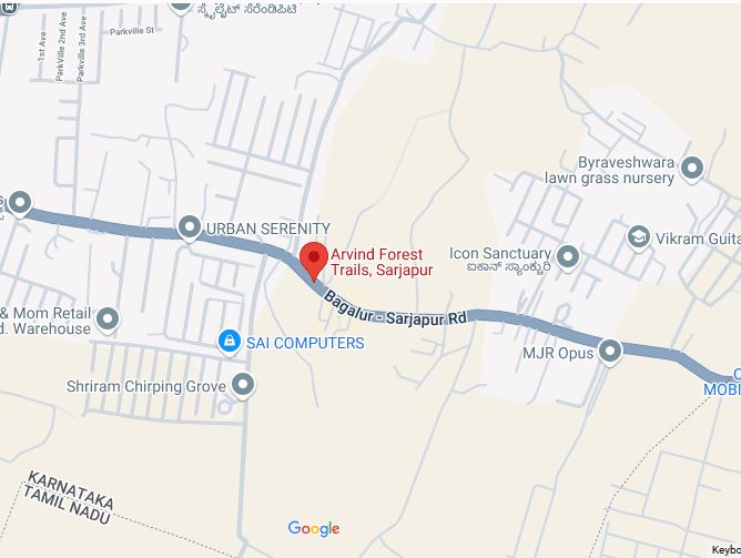 Arvind Forest Trails Indiranagar